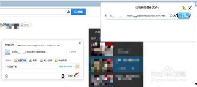 黑料网永久免费网站直接进入网页,畅游网络世界的秘密通道